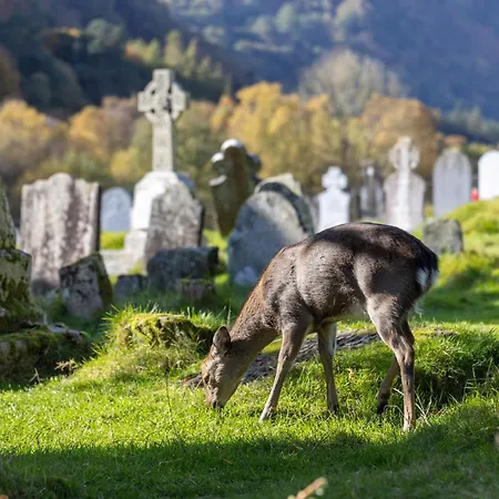 Glendalough Sanctuary Lägenhet